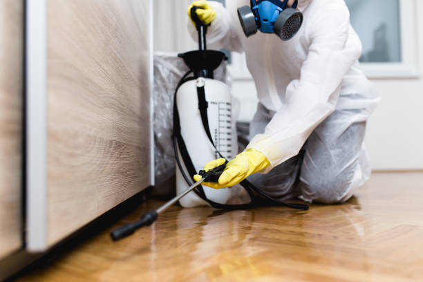 Best Pest Prevention Services  in Croswell, MI