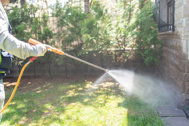 Best Pest Control Near Me  in Croswell, MI