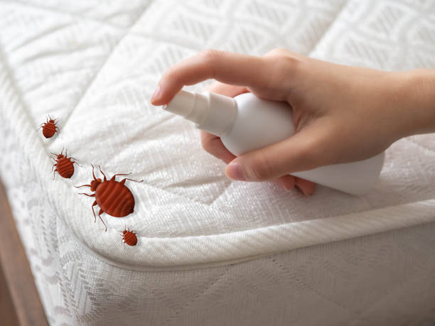 Best Emergency Pest Control  in Croswell, MI