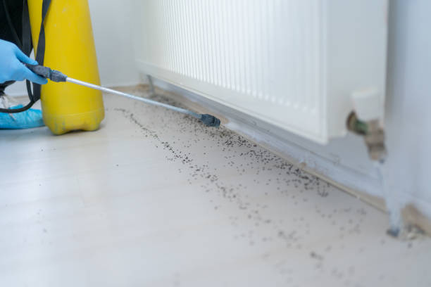 Best Wasp Removal Services  in Croswell, MI