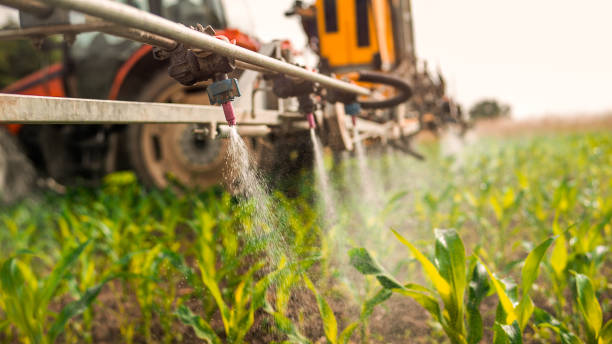 Best Commercial Pest Control Services  in Croswell, MI