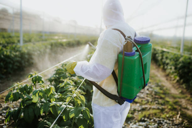Best Cockroach Control Services  in Croswell, MI